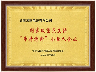 國家級專精特新“小巨人”企業